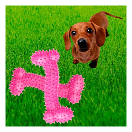 Hueso Recreativo para Perro en Rosado Y+Post-it adhesivos