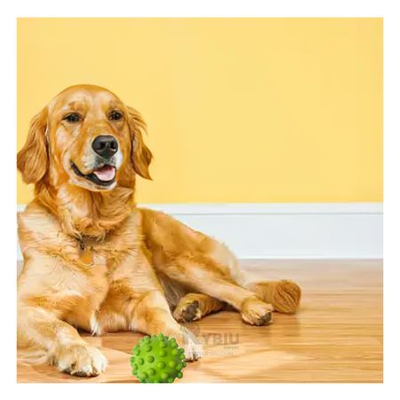 Juguete Portatil Caucho Forma de Chirimolla Diseño Verde