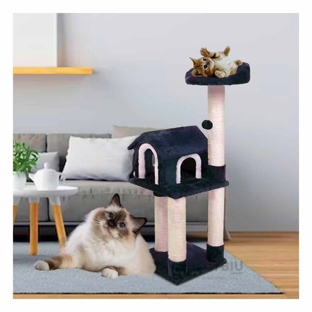 Gimnasio con Bungalow para Gatito Azul Y+Papel de Regalo