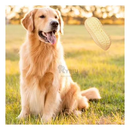 Juguete Ideal para Perros en Amarillo Claro +Stickers