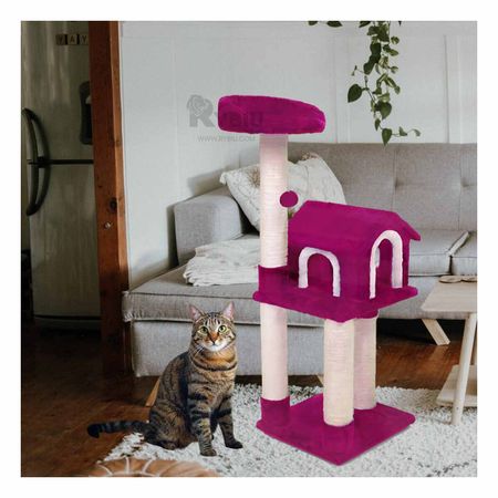 Gymnasio Comodo y Versatil de Cat Fucsia Y+Regalo Agendita