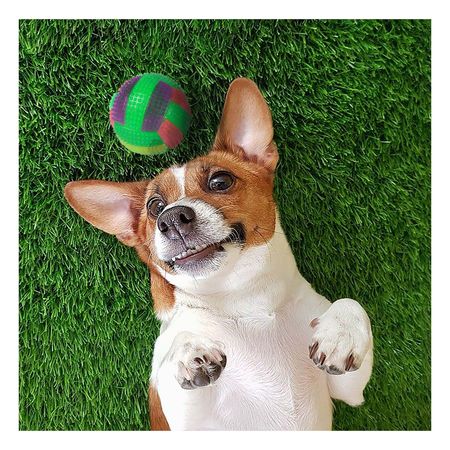 Balon a Rayas con Sonido Pet en Verde Y+Post-it Adhesivos