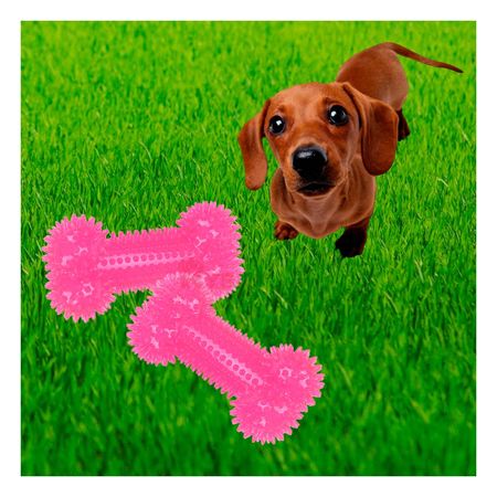 Set Practico para Perro en Color Rosado Y+Papel de Regalo
