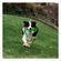 imageUrl_1