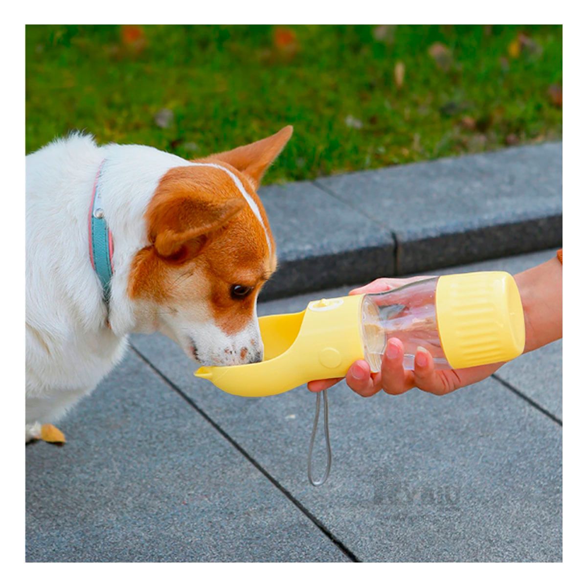 Dispensador para Mascota de Agua Color Amarillo Y+Stickers