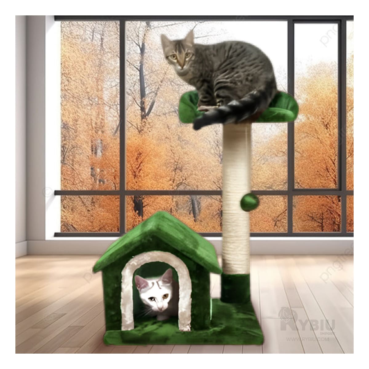 Gym Practico de Usar de Cats Color Verde Y+Regalo Agendita