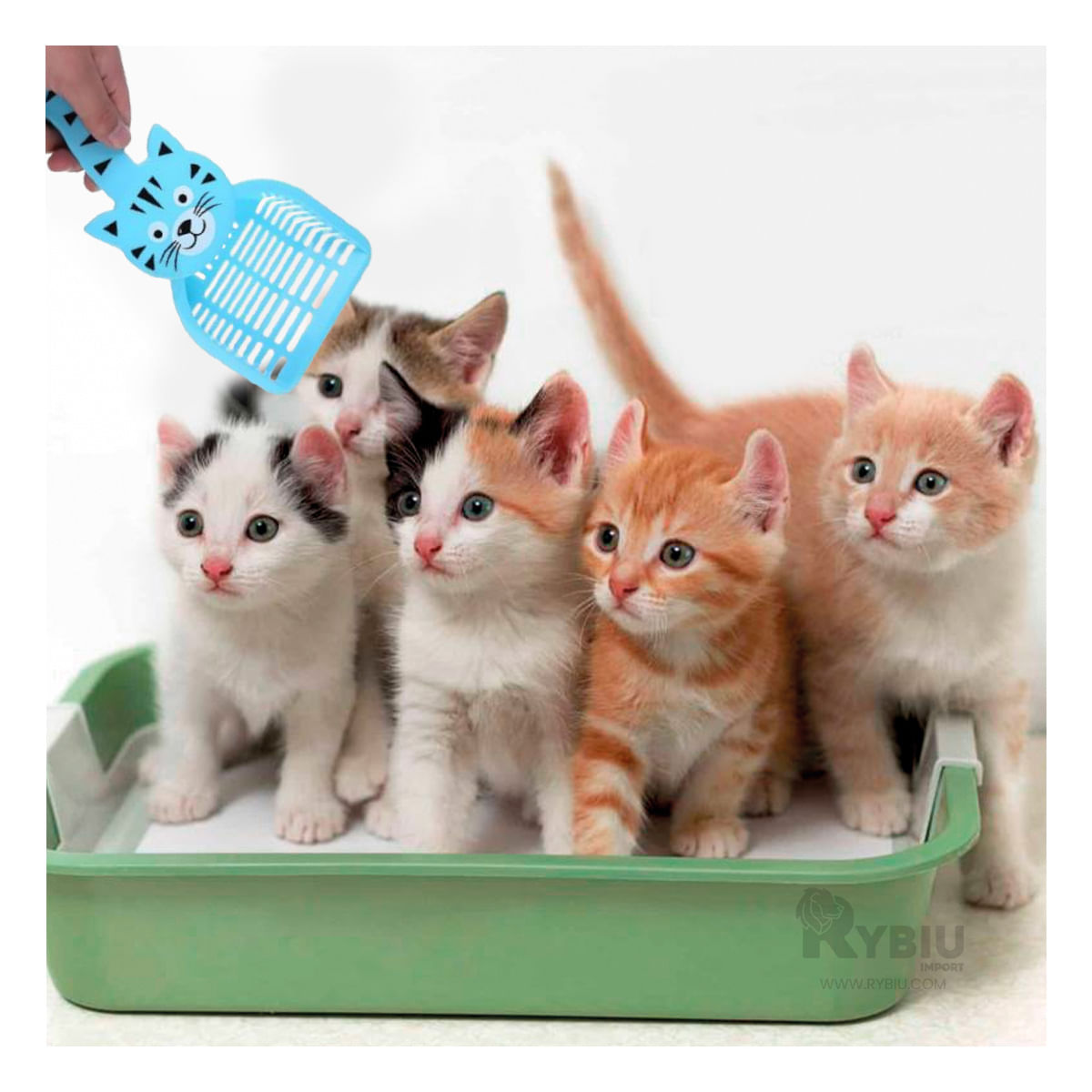 Pala de Limpieza Felina en Color Azul Y+Regalo Stickers