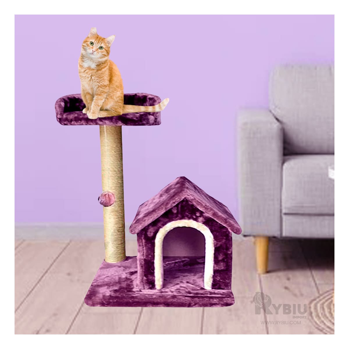 Gym para Felinos con Dos Niveles Lila Y+Papel de Regalo