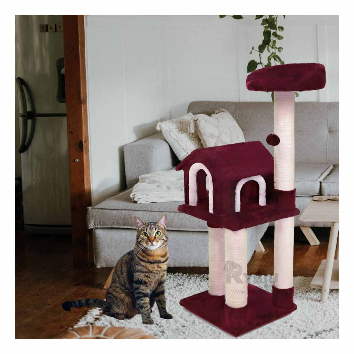 Gym Elegante para Felinos de Color Guinda Y+Papel de Regalo