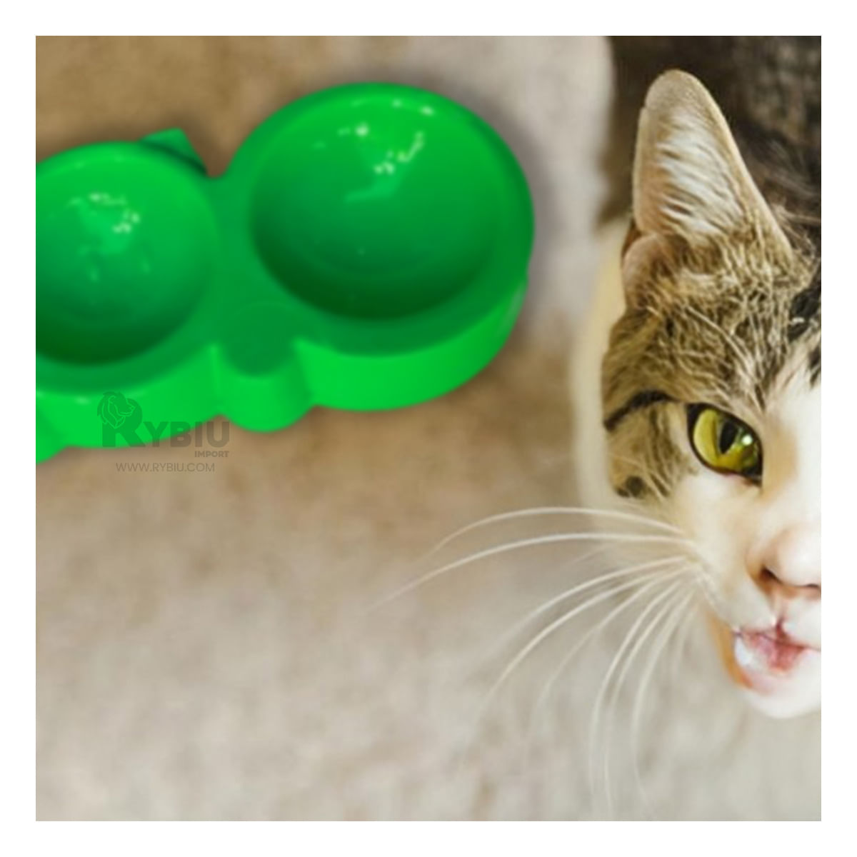 Plato Duo Compacto en Talla M Color Verde Y+Regalo Stickers