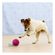 imageUrl_1