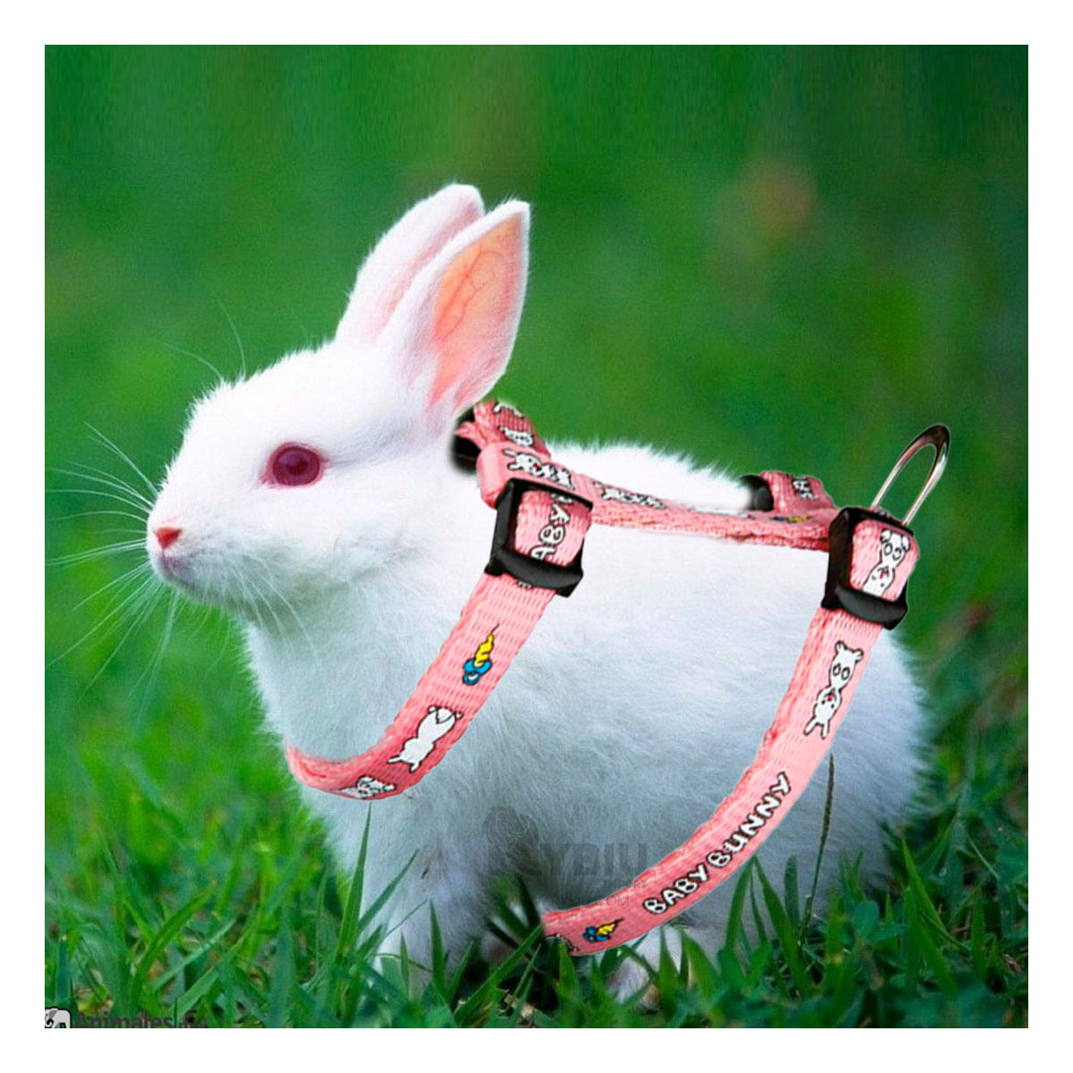 Pechera de Seguridad para Conejo Rosado Y+Post-it adhesivos