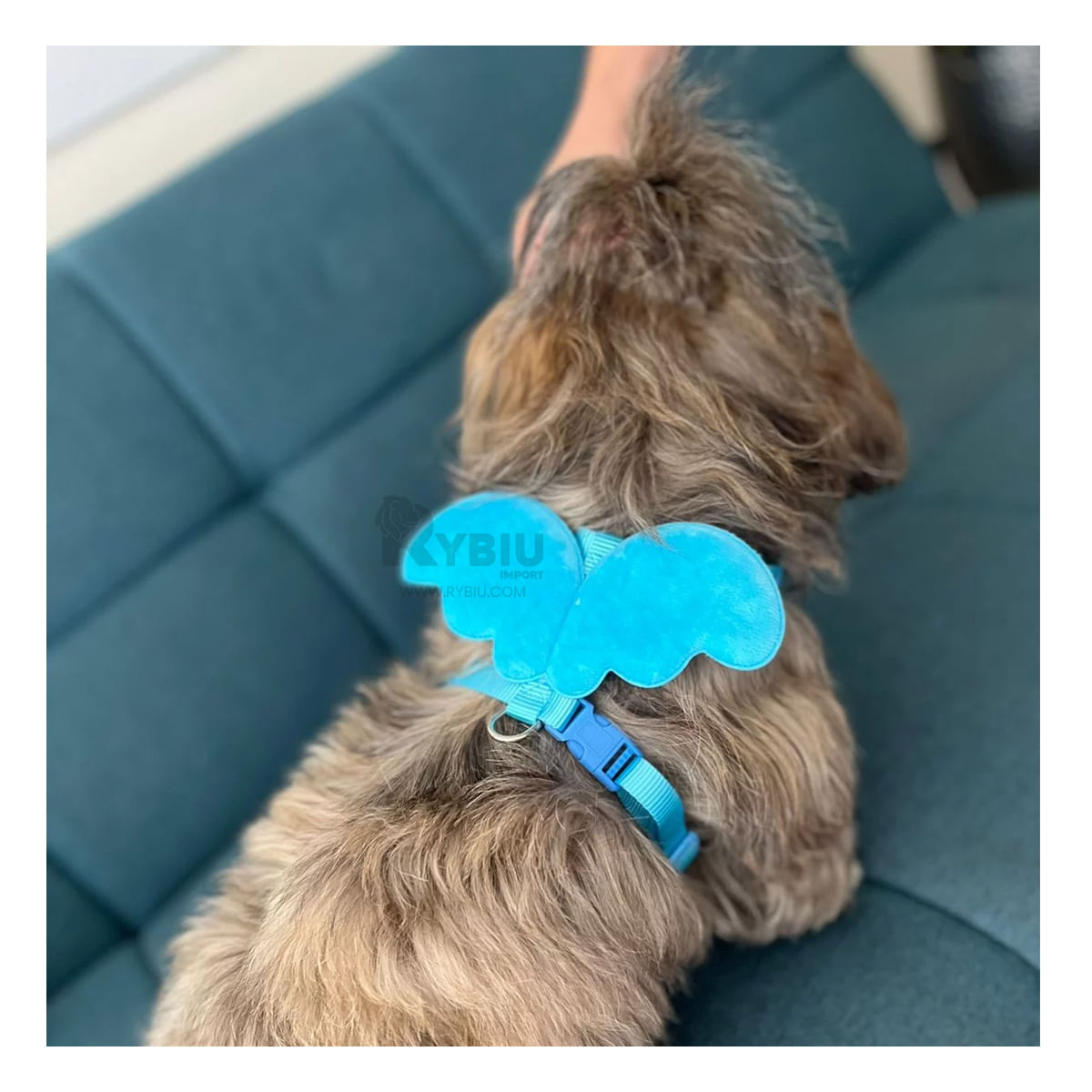 Pechera para Perros Ideal en Celeste Y+Post-it adhesivos