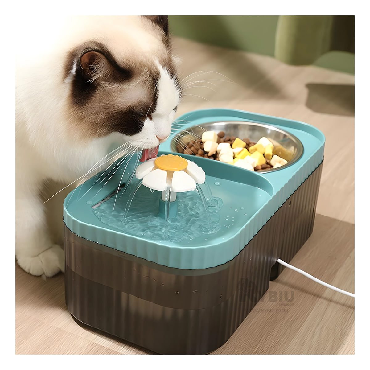 Fuente Moderno de Comida Pet de Celeste Y+Papel de Regalo