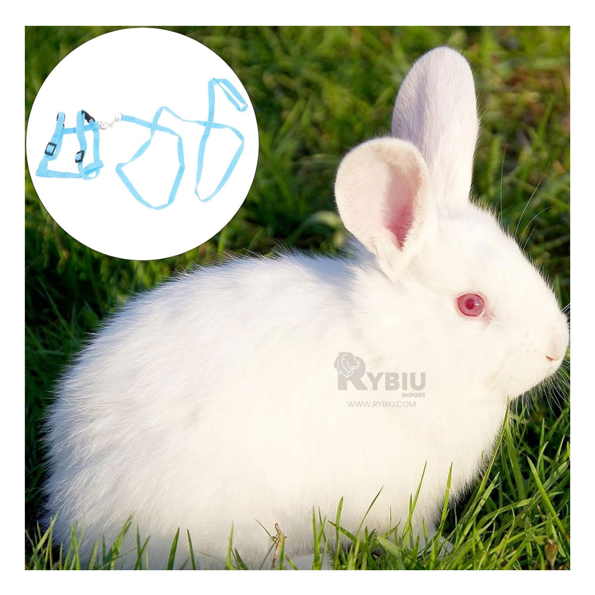 Arnes Comodo y Delgado para Conejo en Celeste Y+Stickers