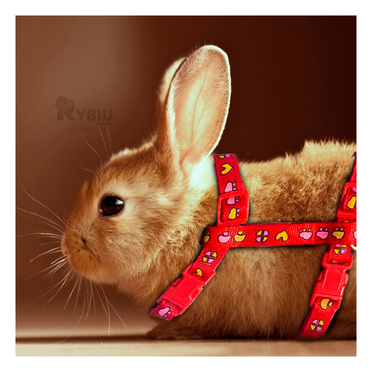 Arnes para Conejo de Paseo Delgado de Color Rojo