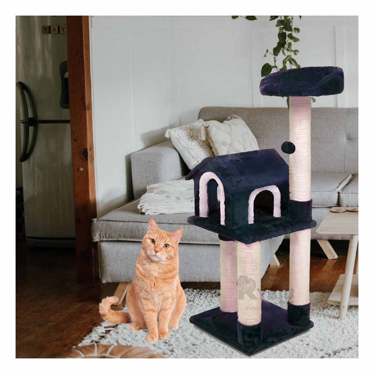 Gimnasio de Entretenimiento de Gatos Azul Y+Regalo Agendita