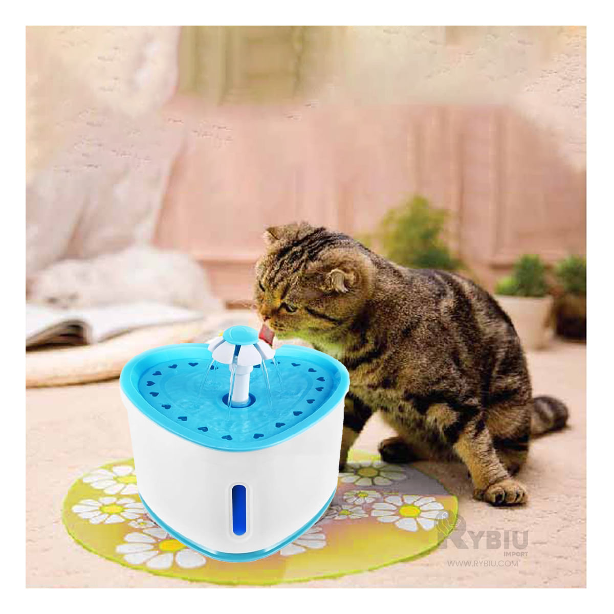 Fuente Compacta de Color Celeste Y+Papel de Regalo