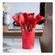 imageUrl_4