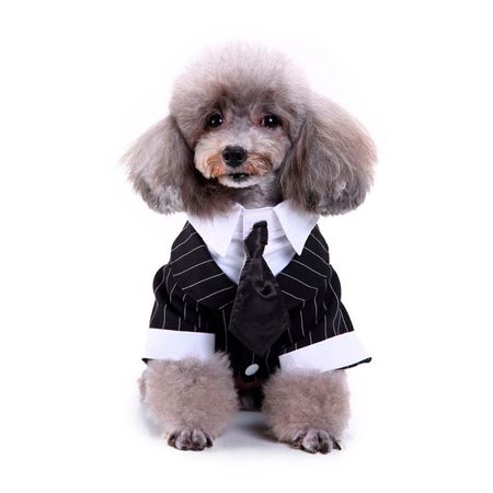 Disfraz para Perro Traje de Boda Negro y Blanco - Nezmun Talla L