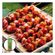 imageUrl_1