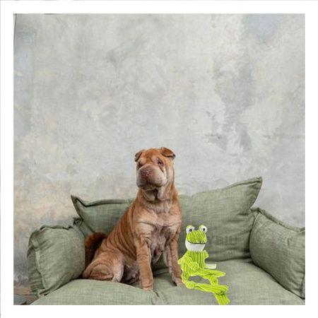 Peluche Suave de Perro Verde Limon Y+Regalo Agendita