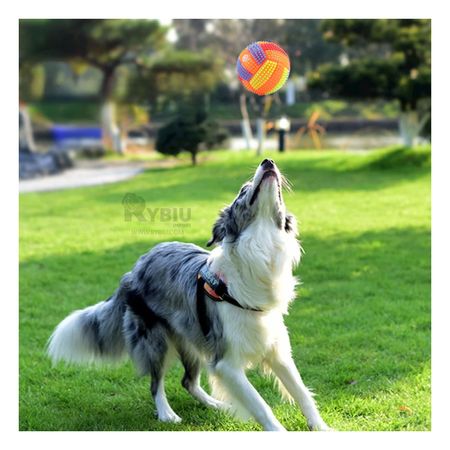 Balon a Rayas con Sonido Pet en Naranja Y+Post-it Adhesivos