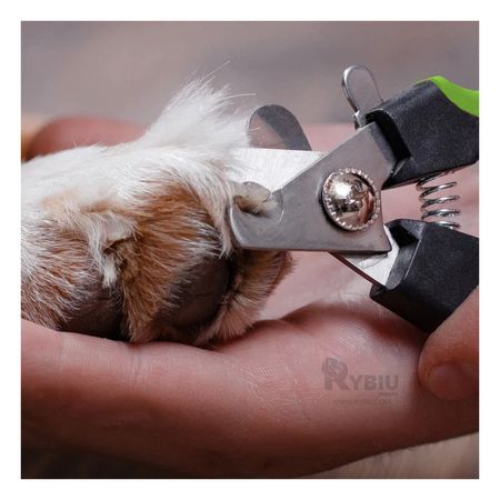 Corta Uña Ideal para Perros Chico Y+Papel de Regalo