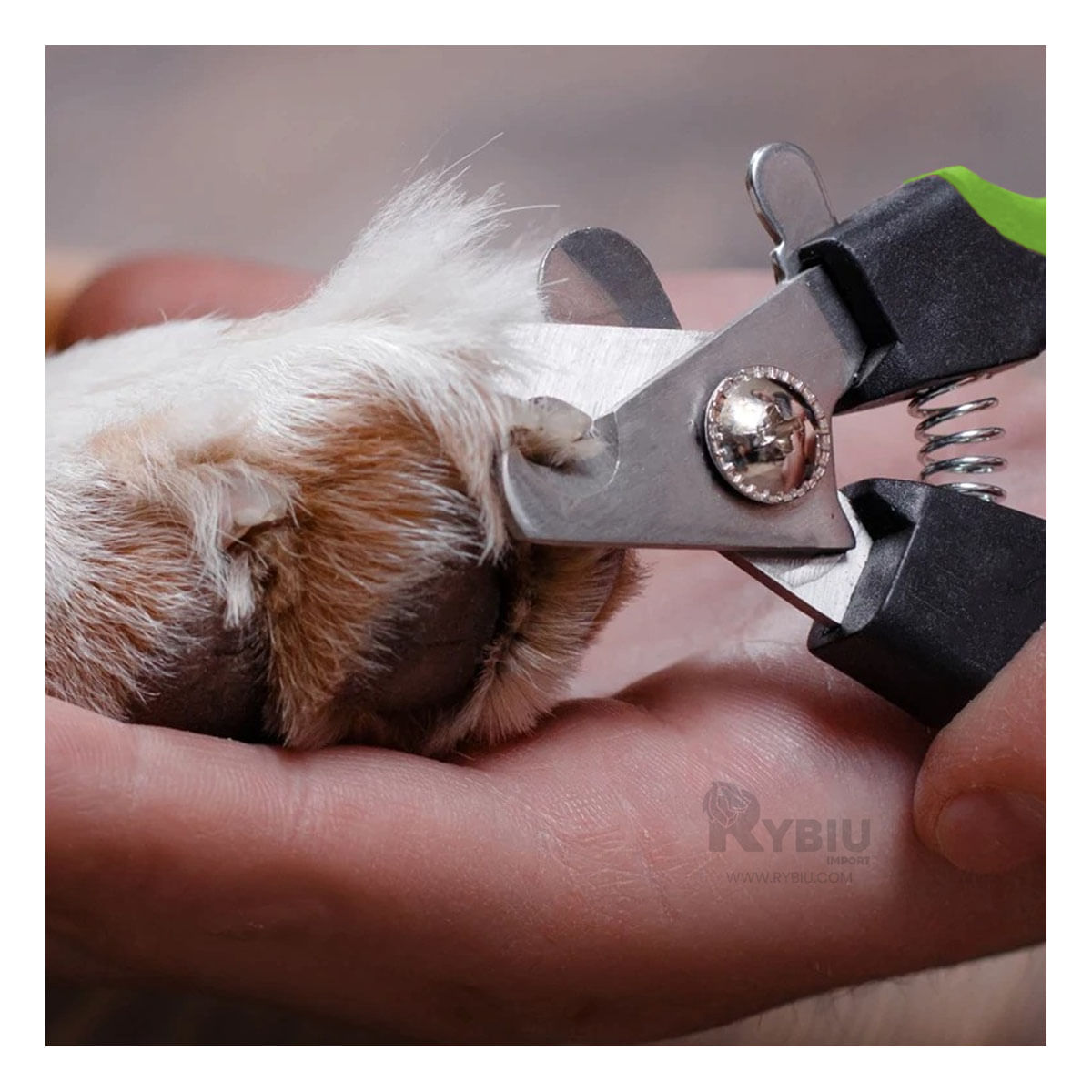 Corta Uña Ideal para Perros Chico Y+Papel de Regalo