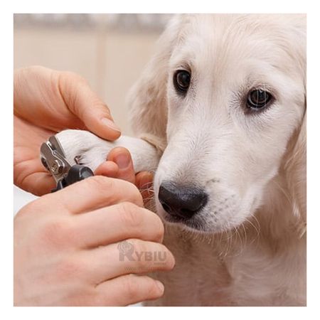 Cortauña con Mango Antideslizante para Perro en Color Rosado