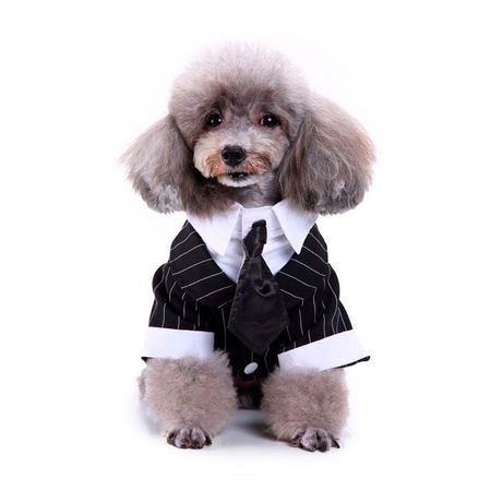Disfraz para Perro Traje de Boda Negro y Blanco