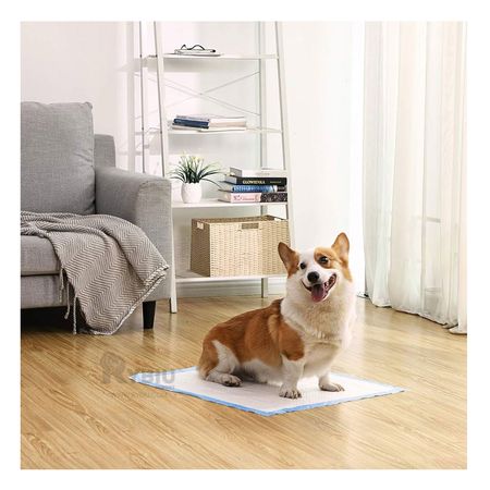 Pañal Innovador de Entrenamiento de Perro 60x60 en Talla L