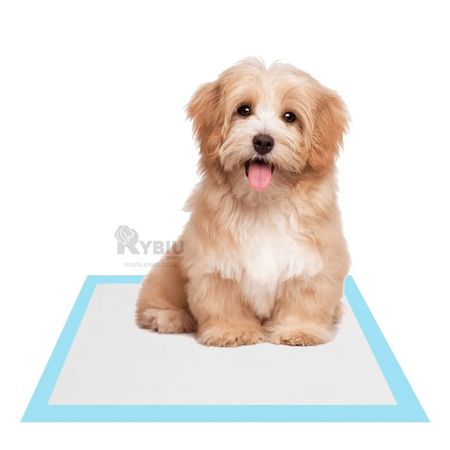 Pañal Neutraliza Olores Pet 45x60 Talla M Y+Regalo Stickers