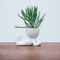 Maceta de Cerámica Figura Blanco Mate 12 x 9 cm.