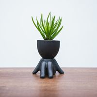 Maceta de Cerámica Figura Negro Mate 9.5 x 10 cm.