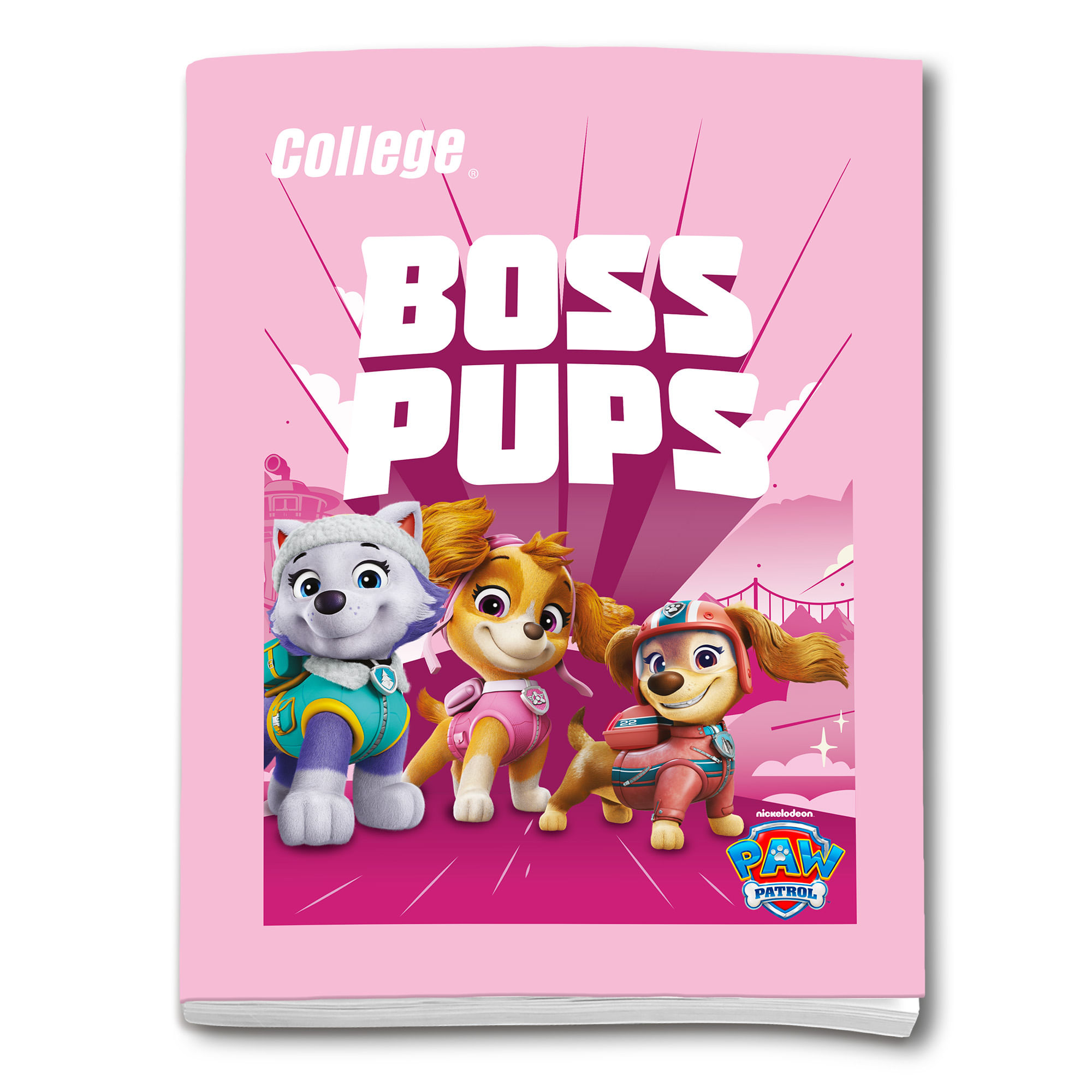 Cuaderno COLLEGE Cuadrimax 2x2 Paw Patrol 80 Hojas