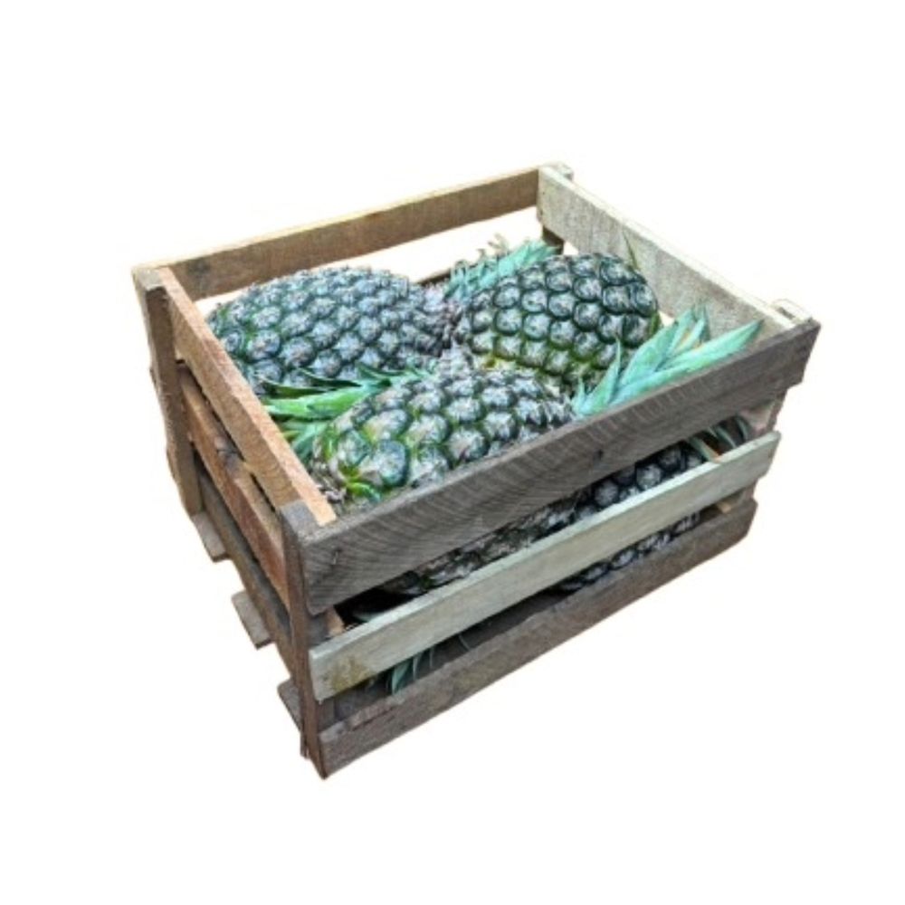 Piña Hawaiana Caja 6un | plazaVea - Makro