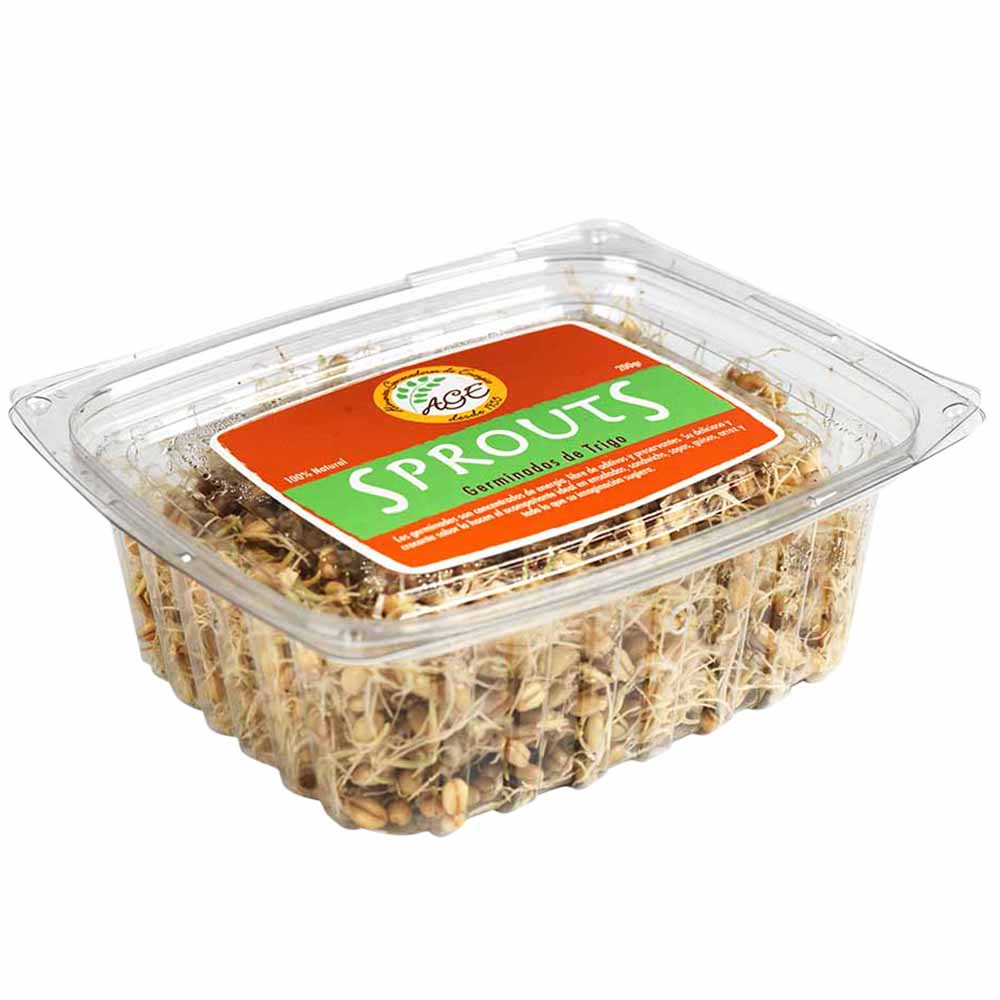 Germinados de Trigo AGE SPROUTS Bandeja 200g