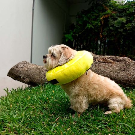 Collarín Donut Talla M Lemon
