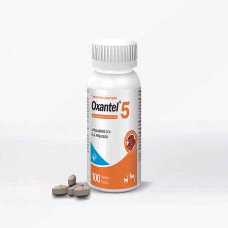 image-7abecc126fd34b1aab557941d6312933