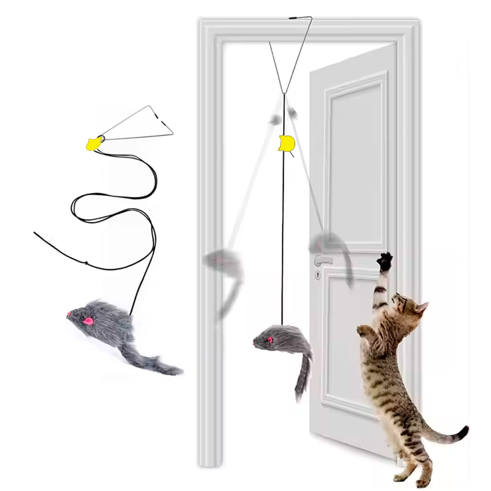 Juguete para Gatos Tira Elástica con Pericote Sujetador de Puertas y otros