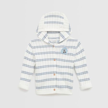 image-e228ed2d7ff741079ea8232fce670b2d