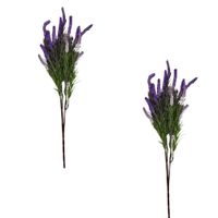 Pack de 2 Ramas de Lavanda Morada 00110-1 FLORIPASTORE
