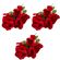imageUrl_1
