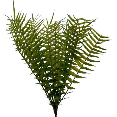 image-990d54f600f445d5abc290f3034f08ec