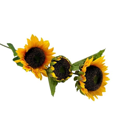 image-a8e292873f904856932e55d1d6e0a43a