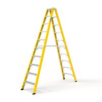 Escalera tijera doble Asc 10 pasos Now Laders