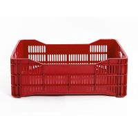 Caja agrícola piso cerrado de campaña Polinplast