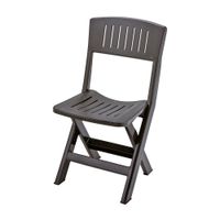 Silla Plegable Rimax Roble Marrón
