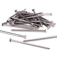 Clavo Prodac Albañil con Cabeza 4'x7 de Acero Galvanizado Gris